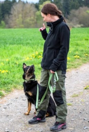 Attit&uuml;denhunde Westerwald -mobiles Training f&uuml;r Hund & Mensch